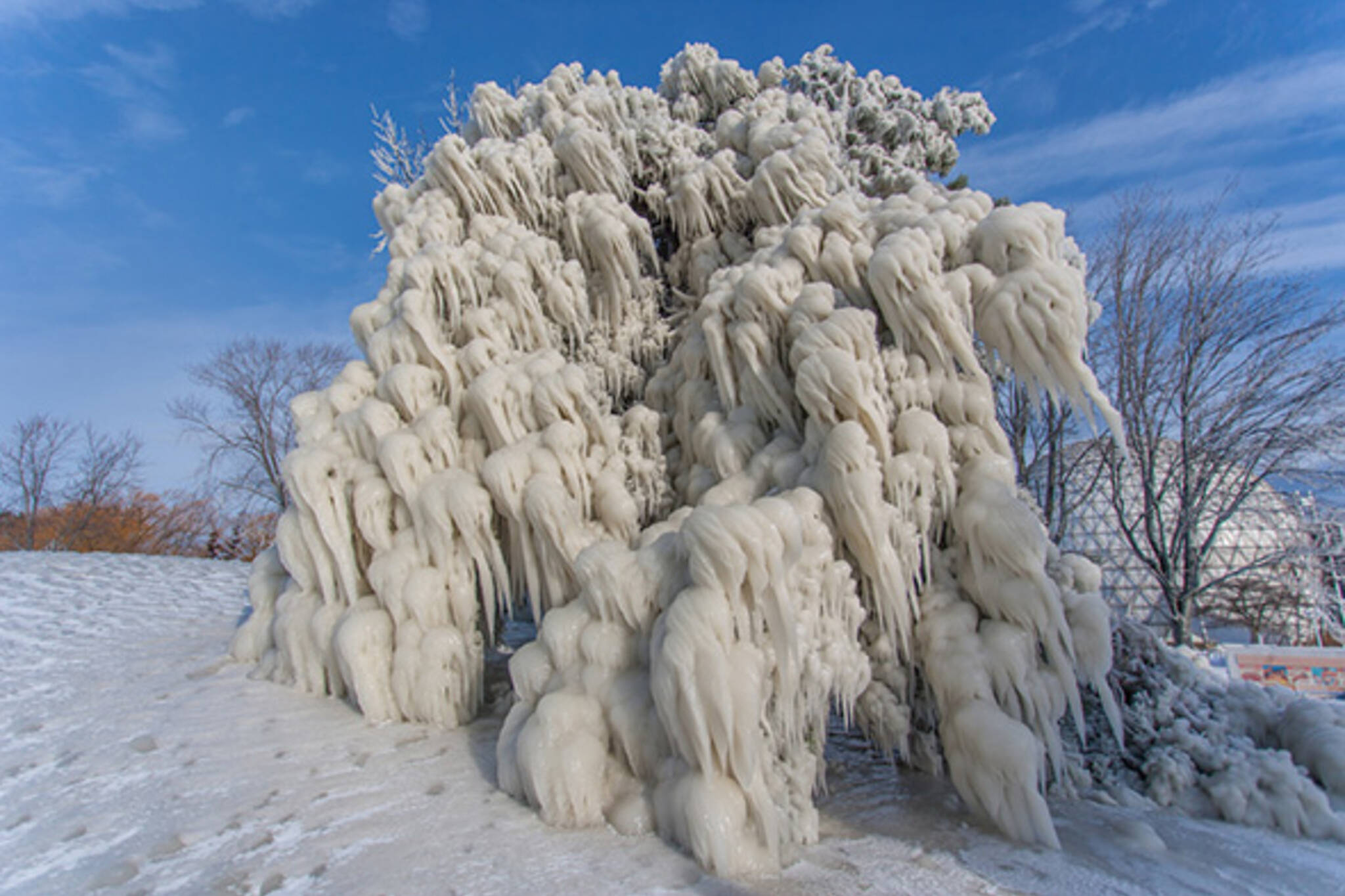 Ice sculpture toronto