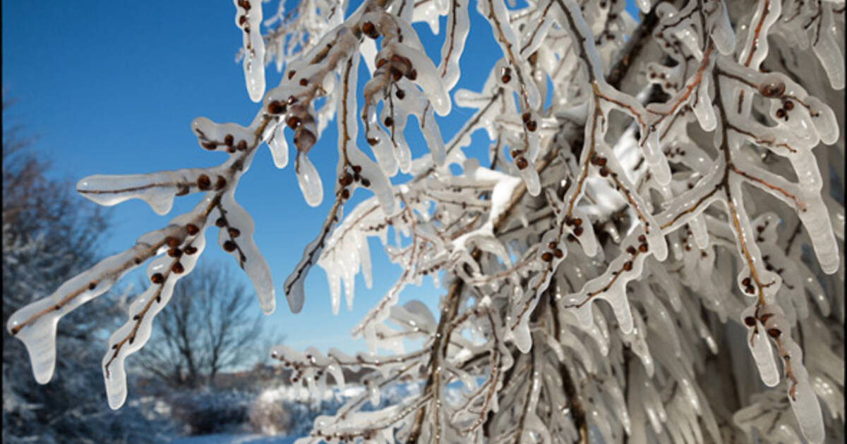 Winter storm leaves behind gorgeous ice formations