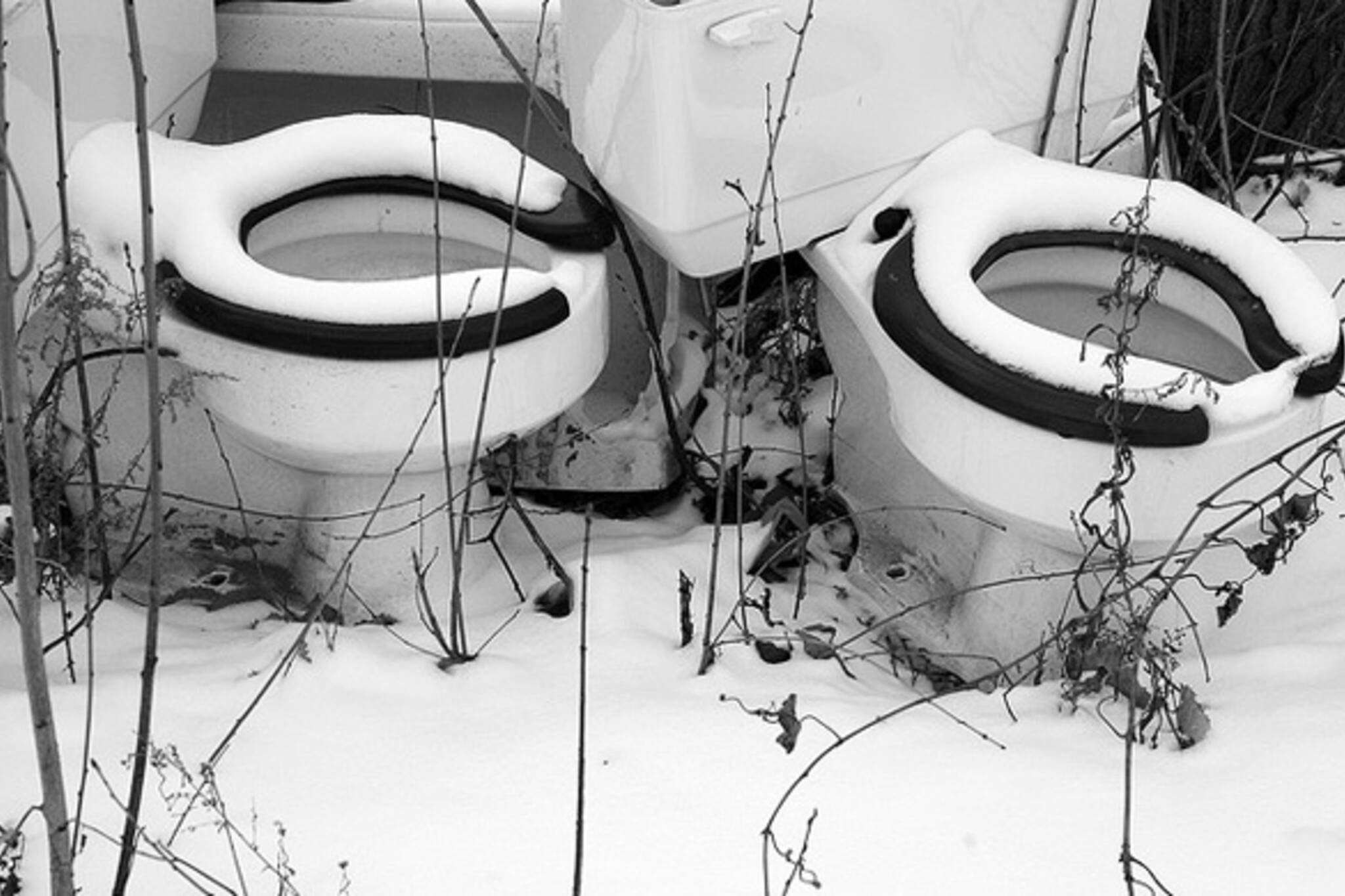 nature toilet toronto