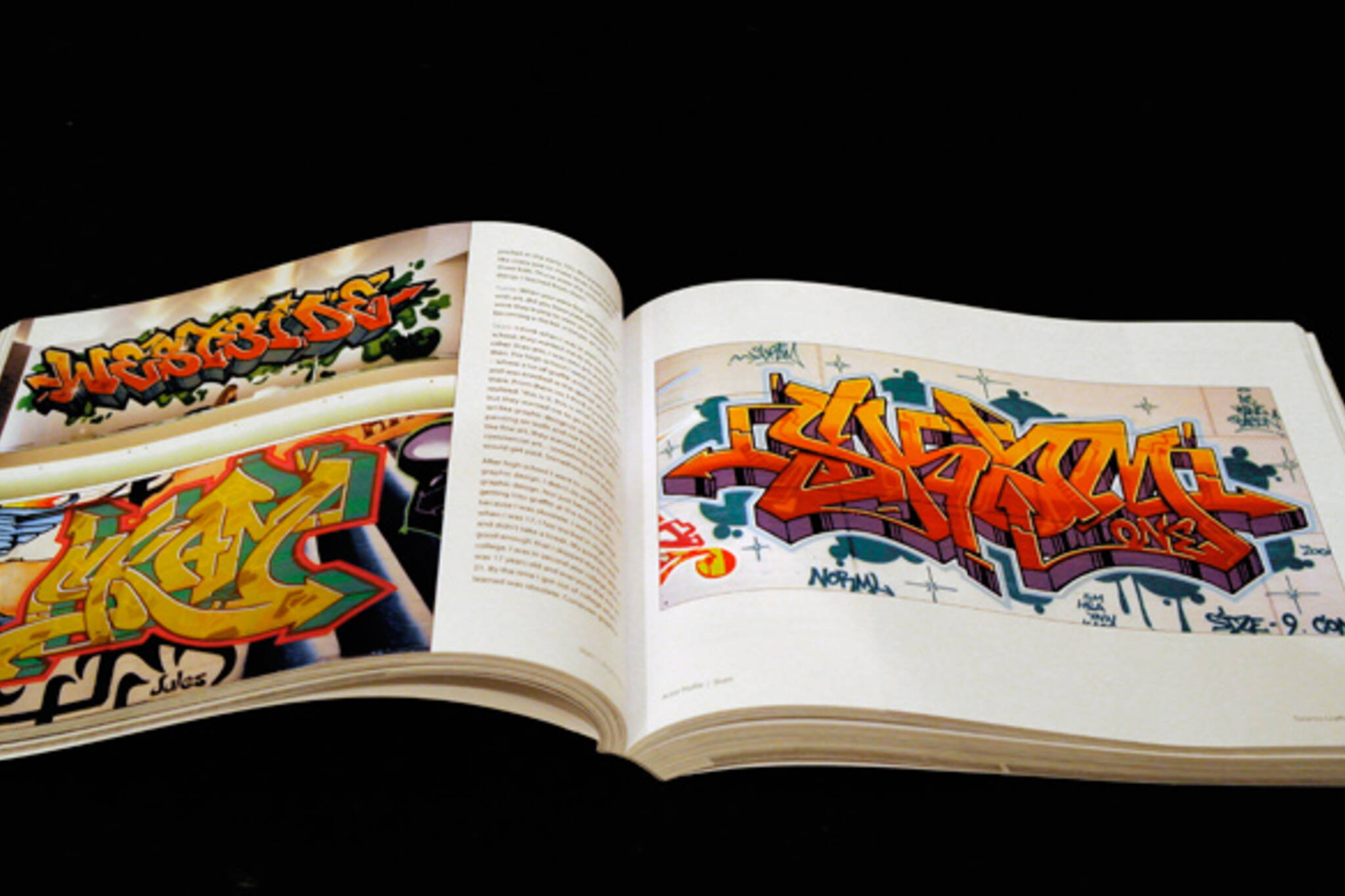 Toronto Graffiti Book