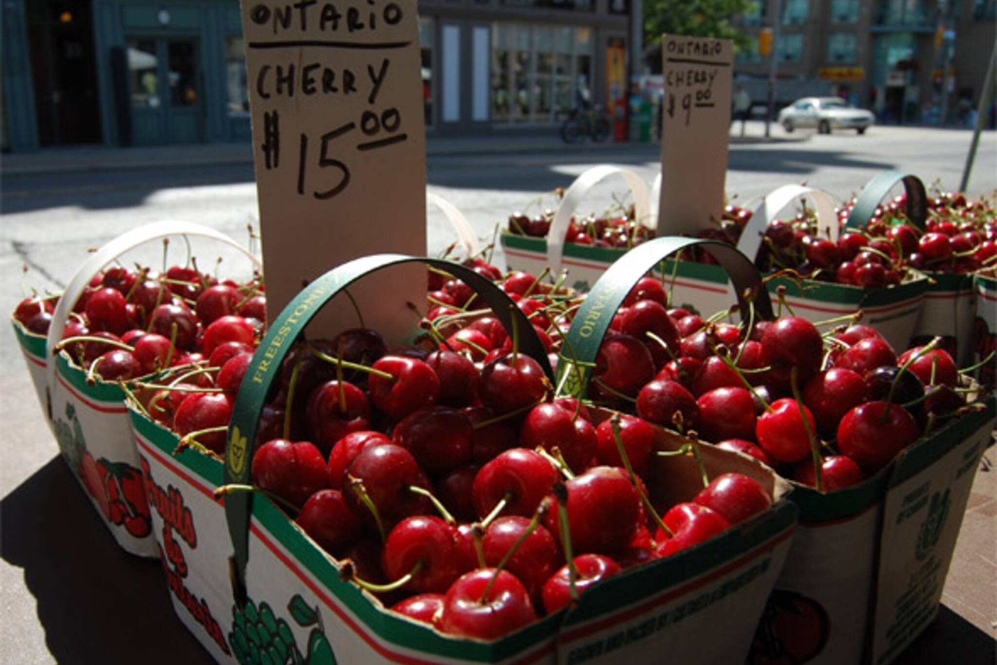 Whats Fresh Toronto Cherries
