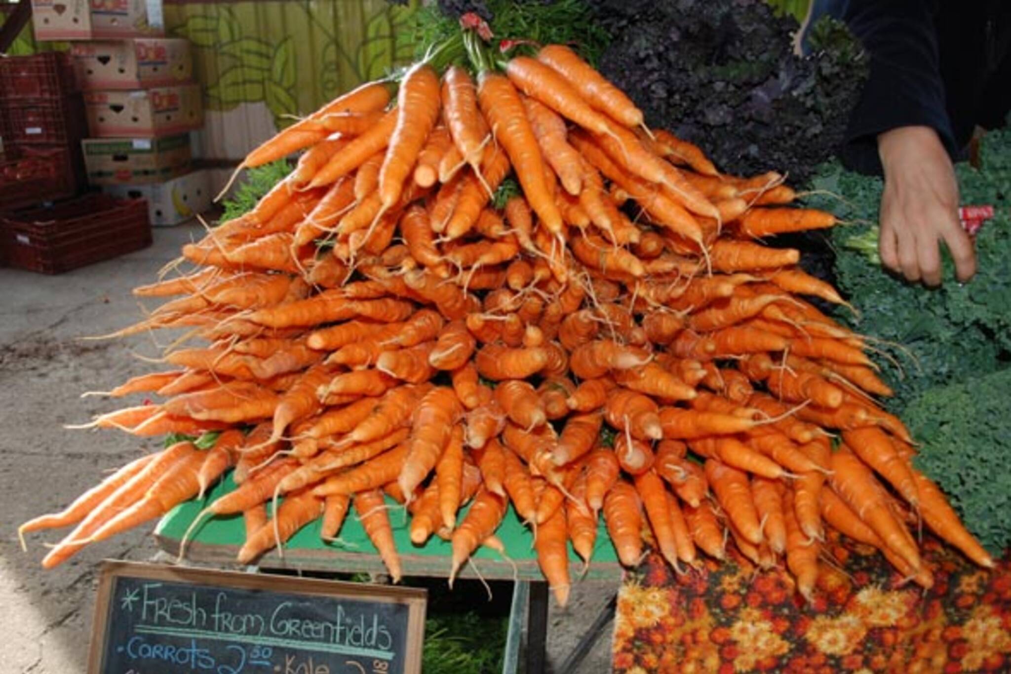 carrots at market