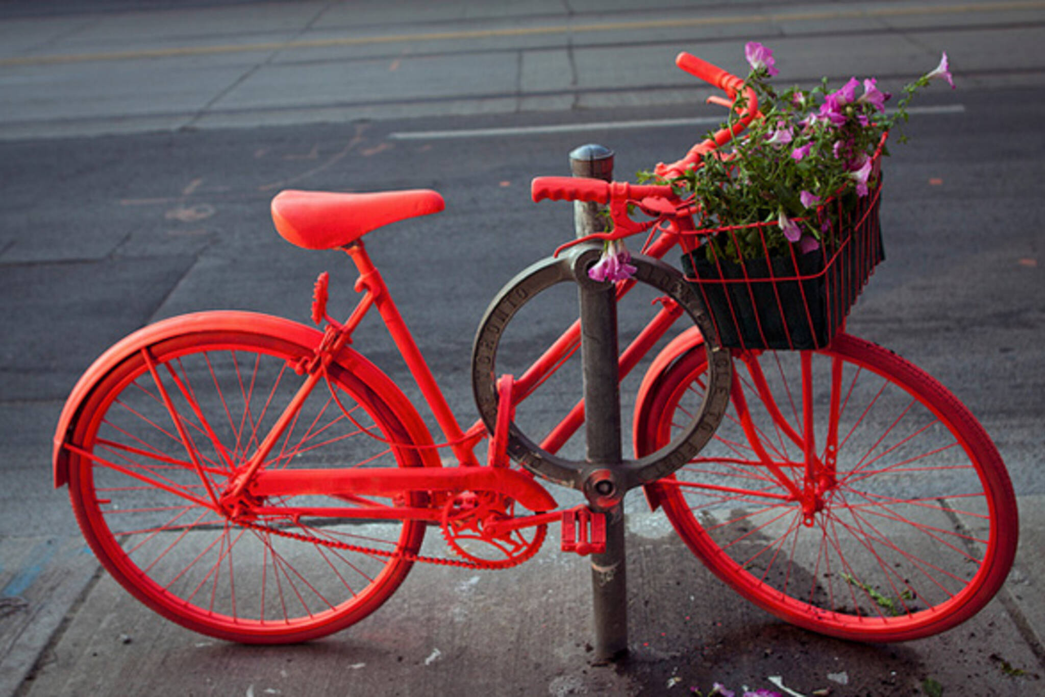 Pink Bike Project Toronto