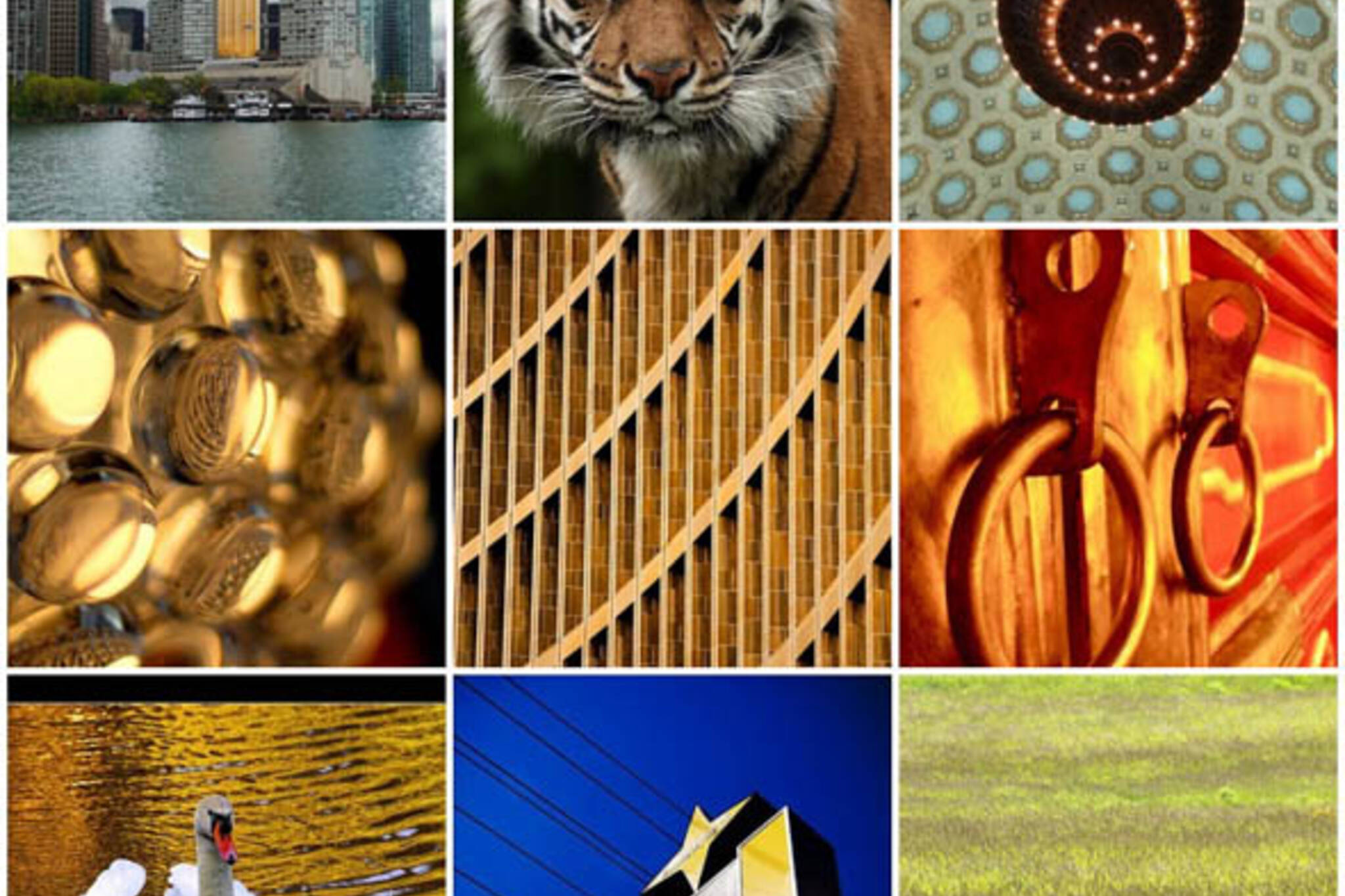 Flickr Forum: May 30th, 2008 - Gold