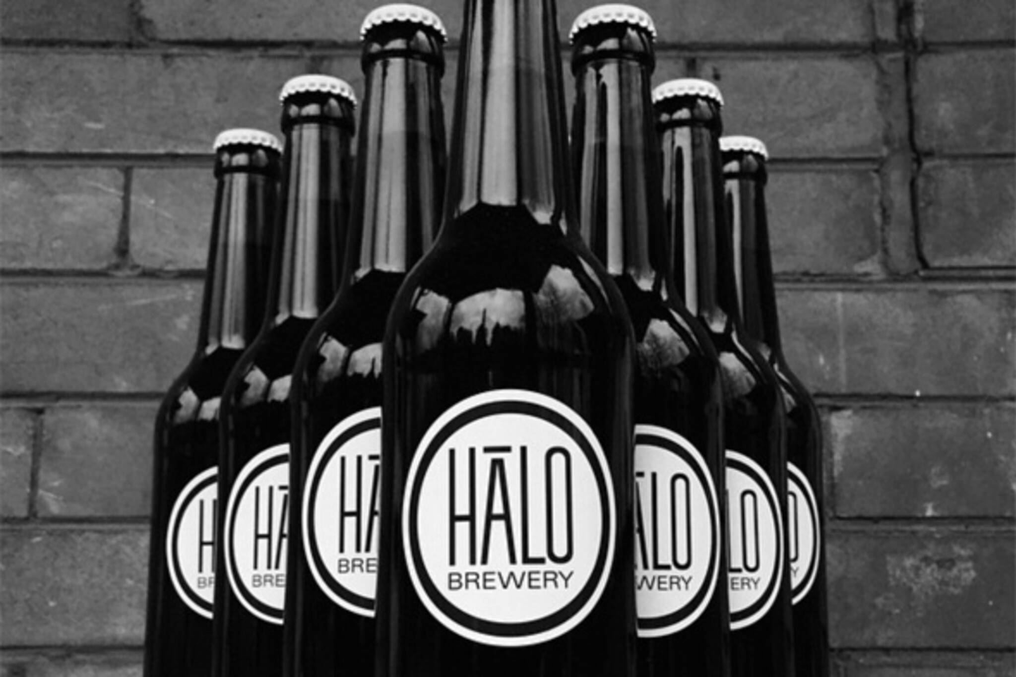 halo brewery
