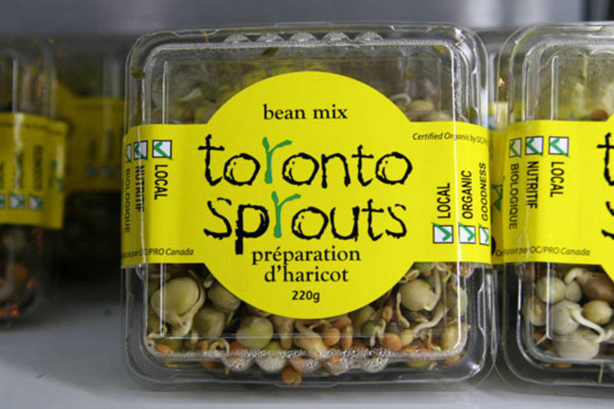 Toronto Sprouts