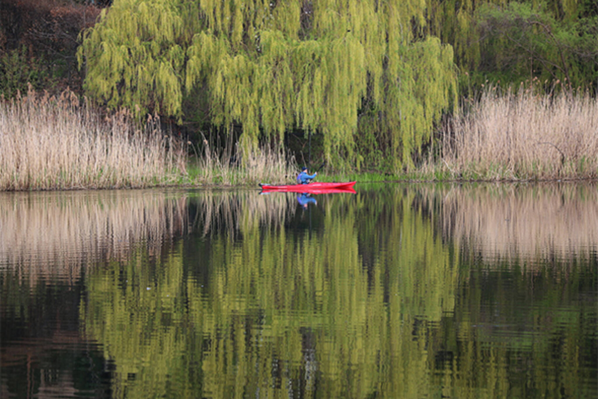 kayaking toronto