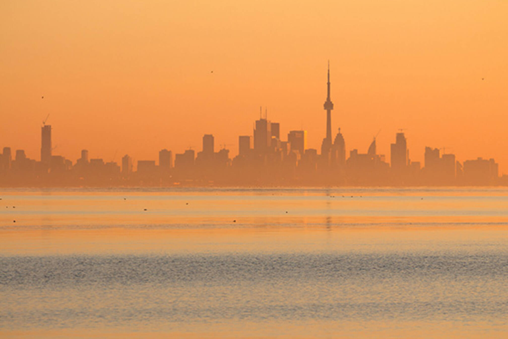 Toronto skyline orange