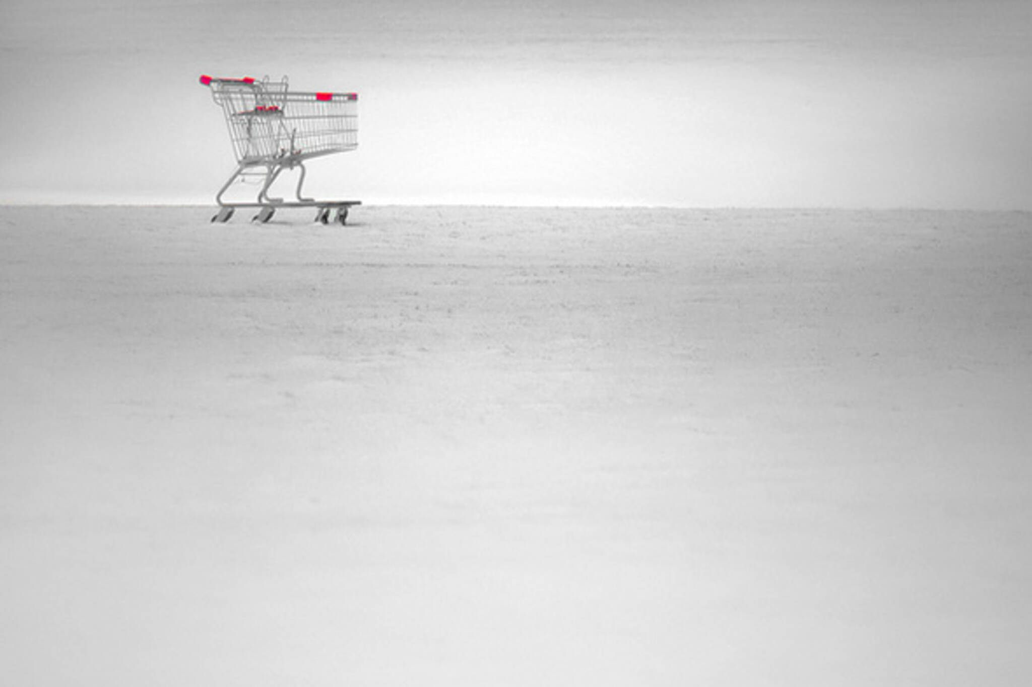 snow shopping cart