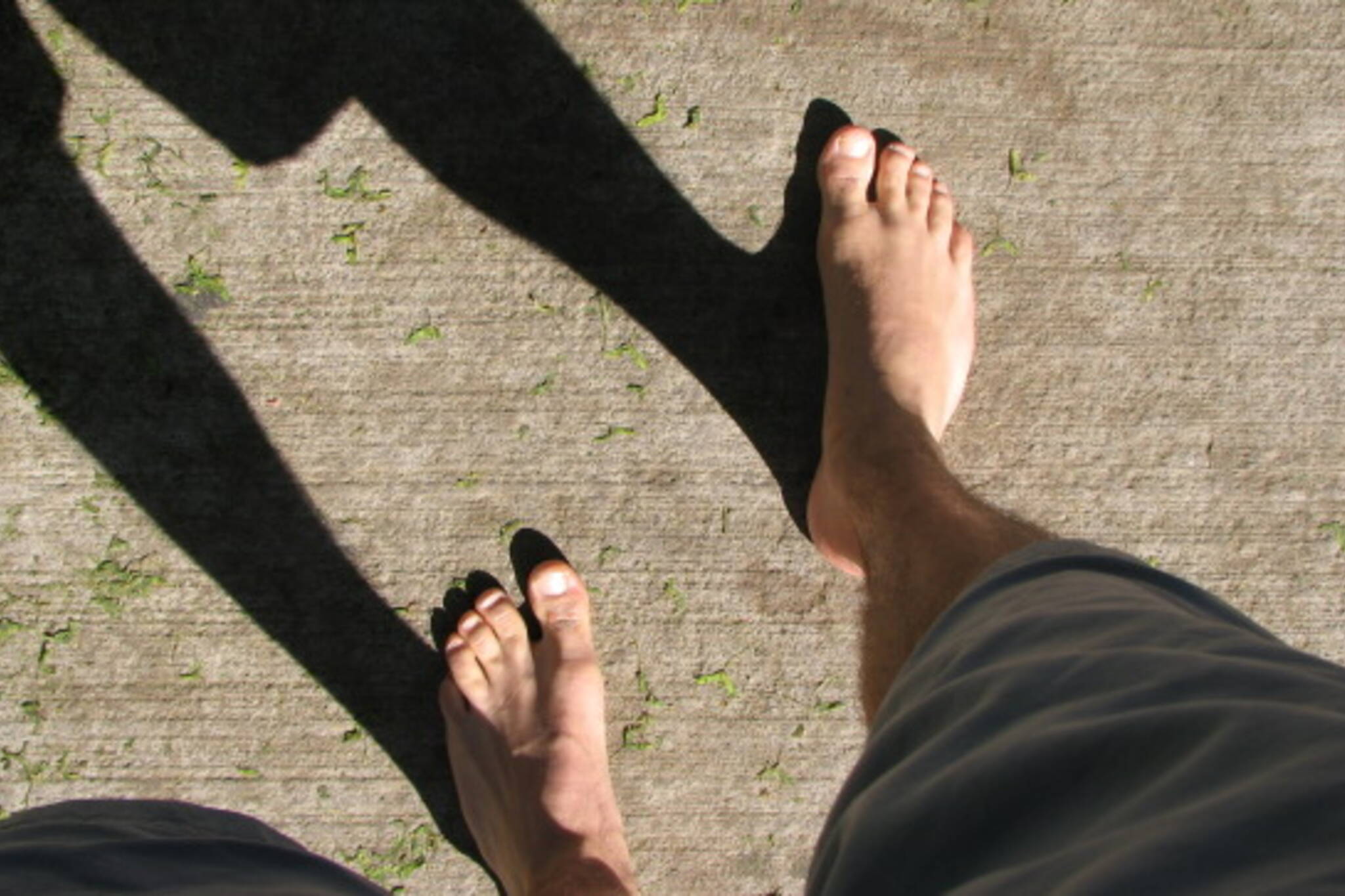 Barefoot Toronto