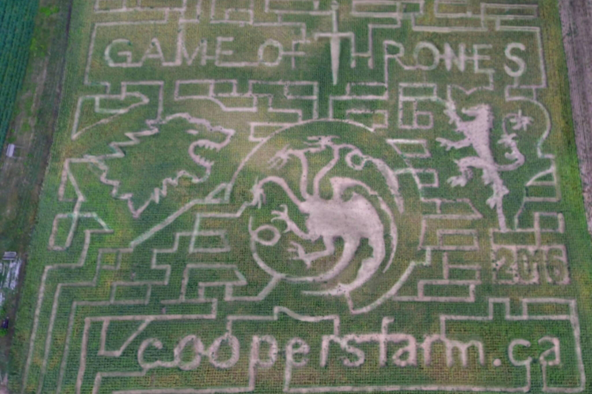 game of thrones corn maze