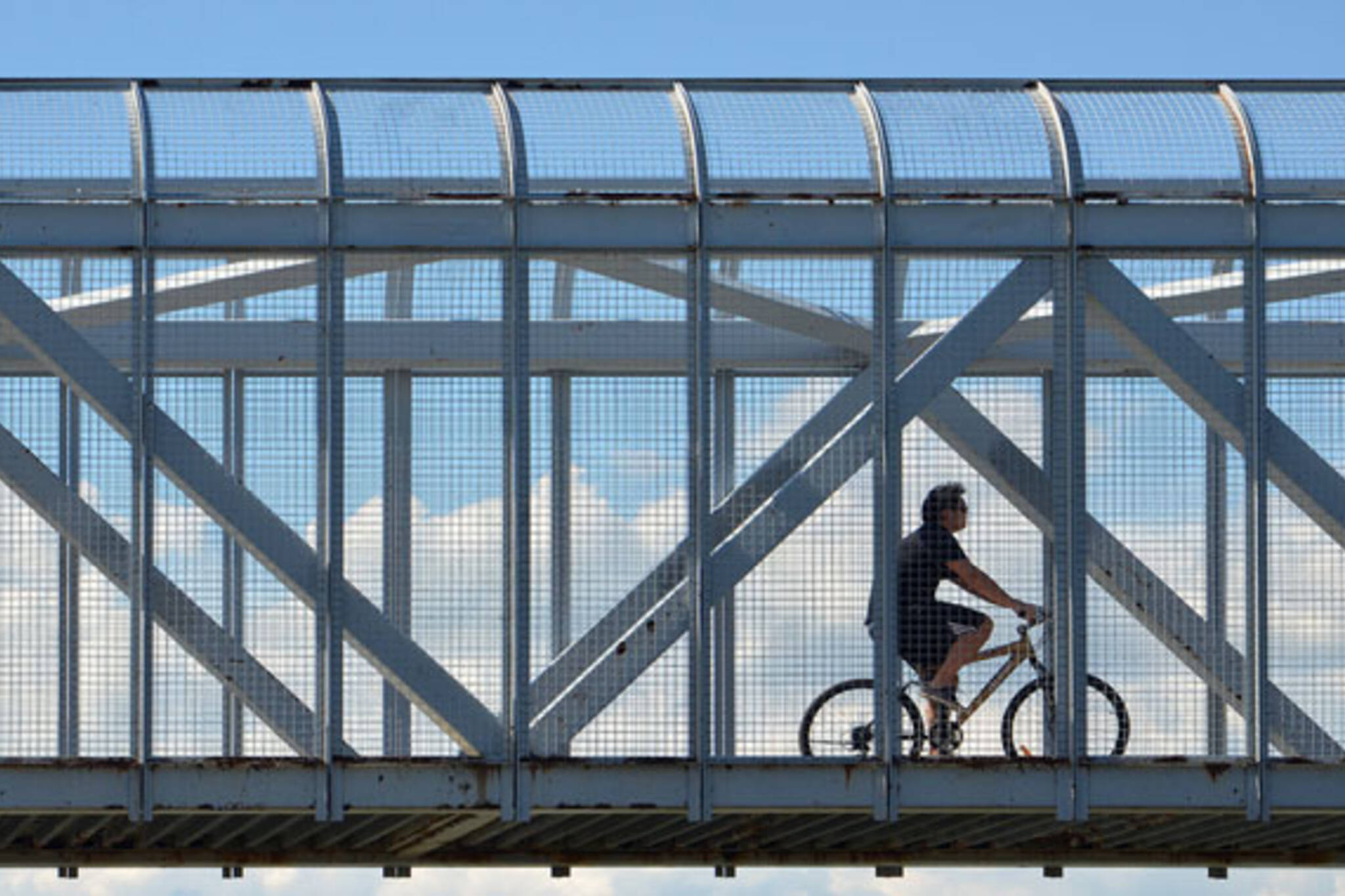toronto bike bridge