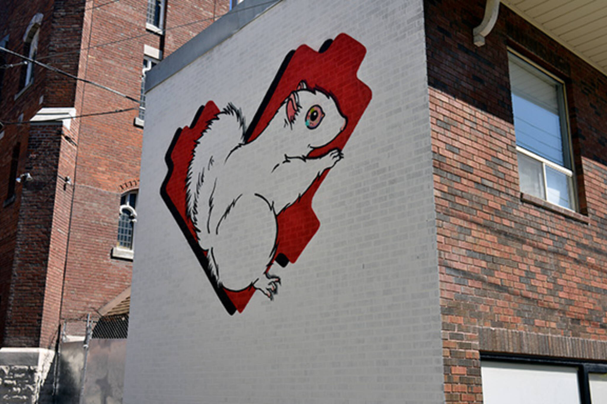 white squirrel mural trinity bellwoods 