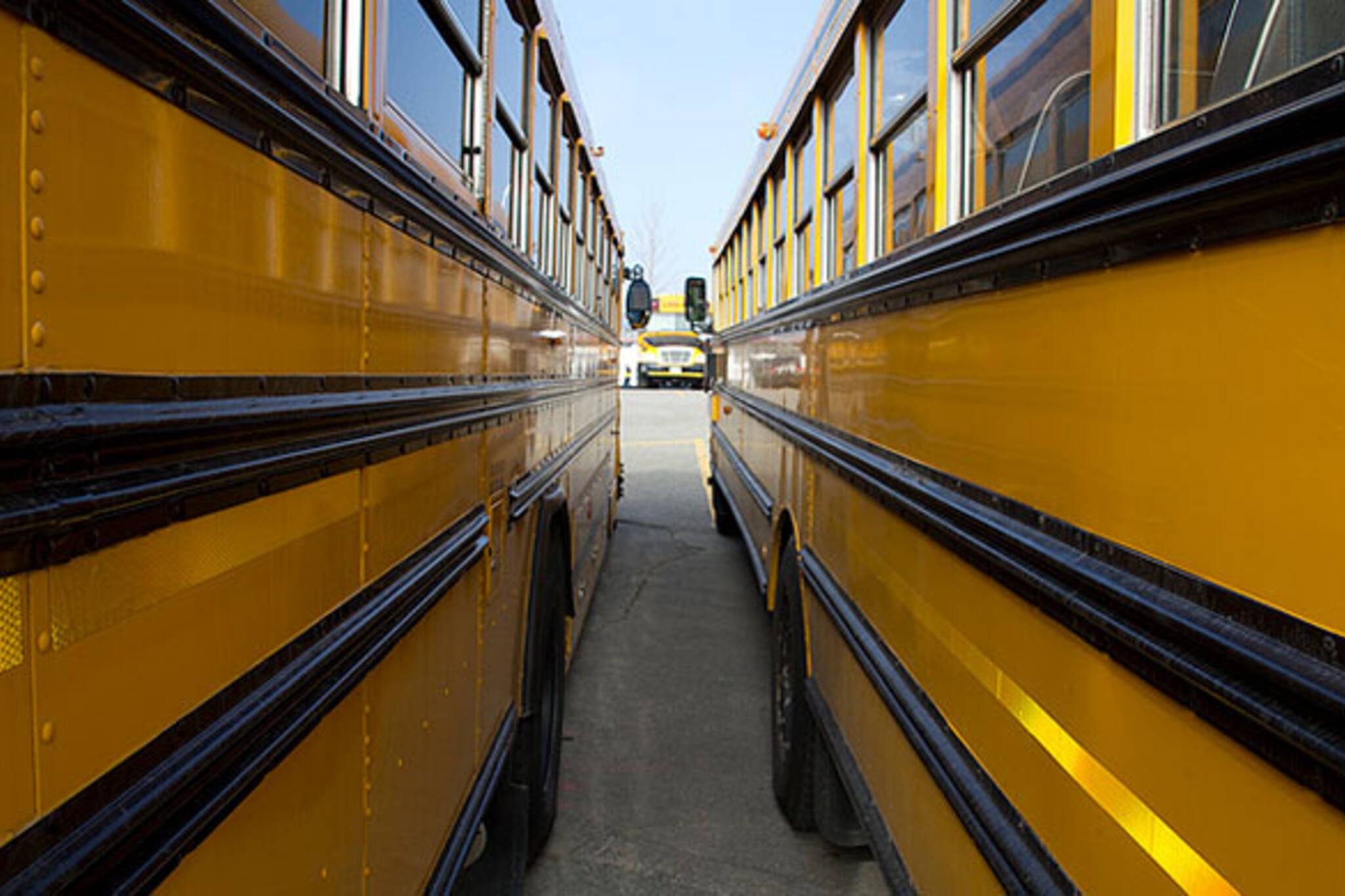 School Bus Toronto