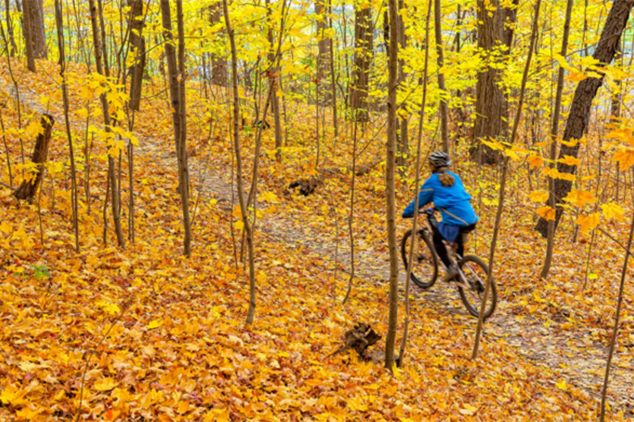 The top 5 fall bike rides in Toronto