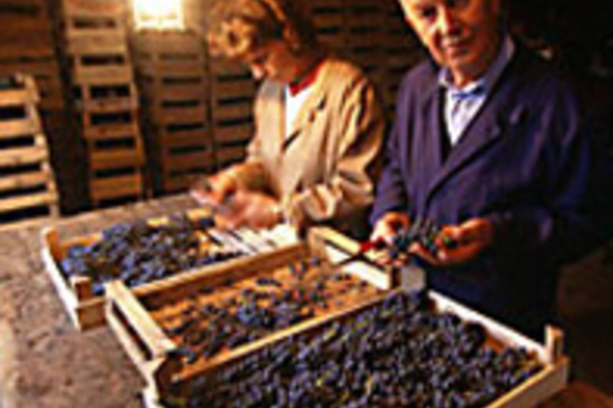 Guiseppe Quintarelli (right) making his magic. (Image from www.winephotos.com)