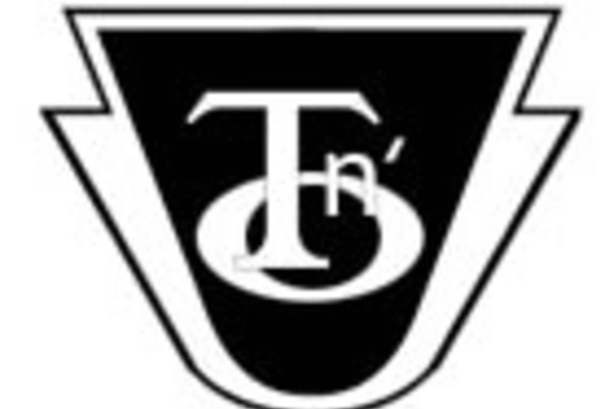 20061028_tno_logo.jpg