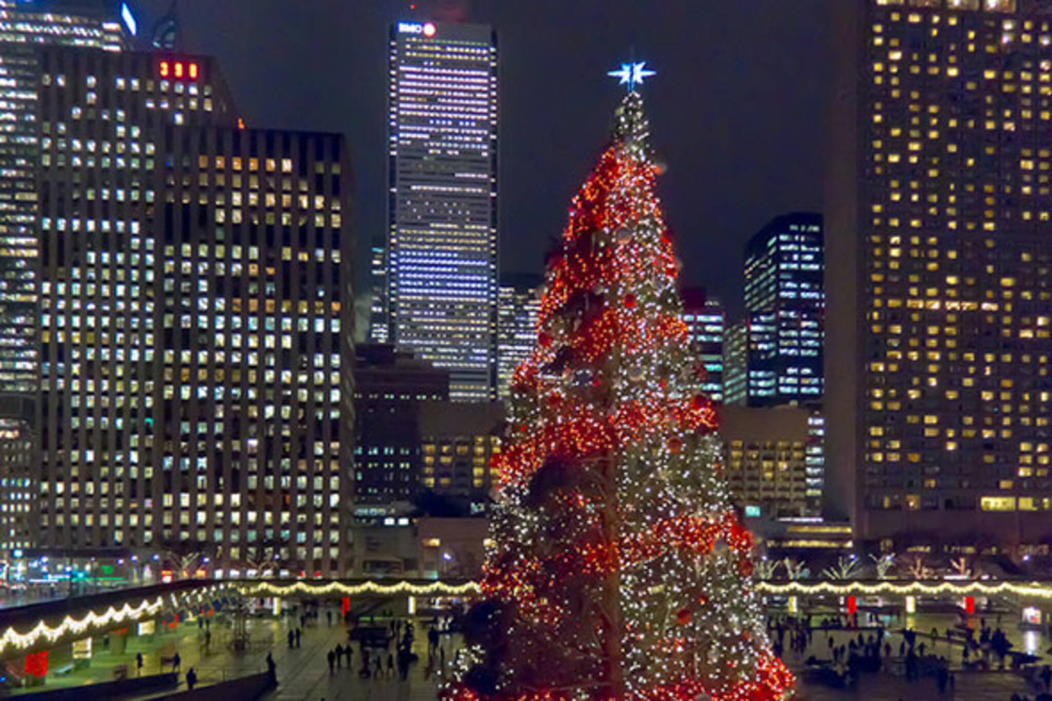 Toronto is about to get Canada's biggest Christmas tree