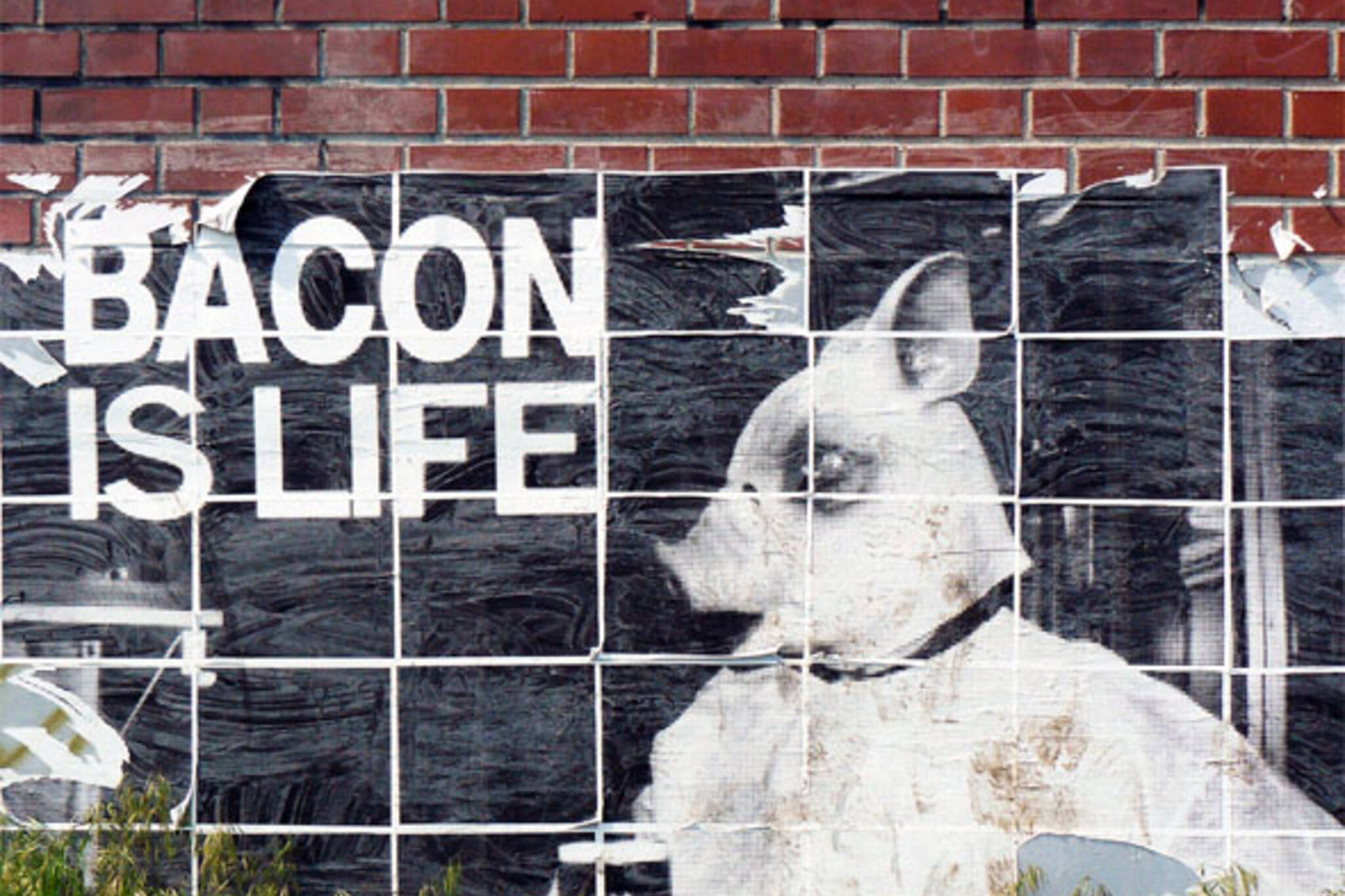 bacon is life