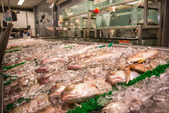 The Best Fish Stores in Toronto