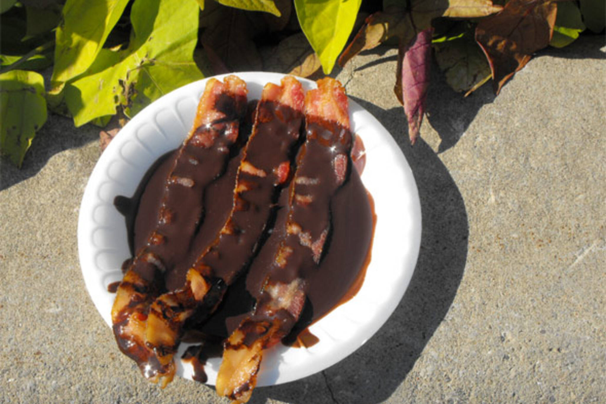 chocolate covered bacon cne