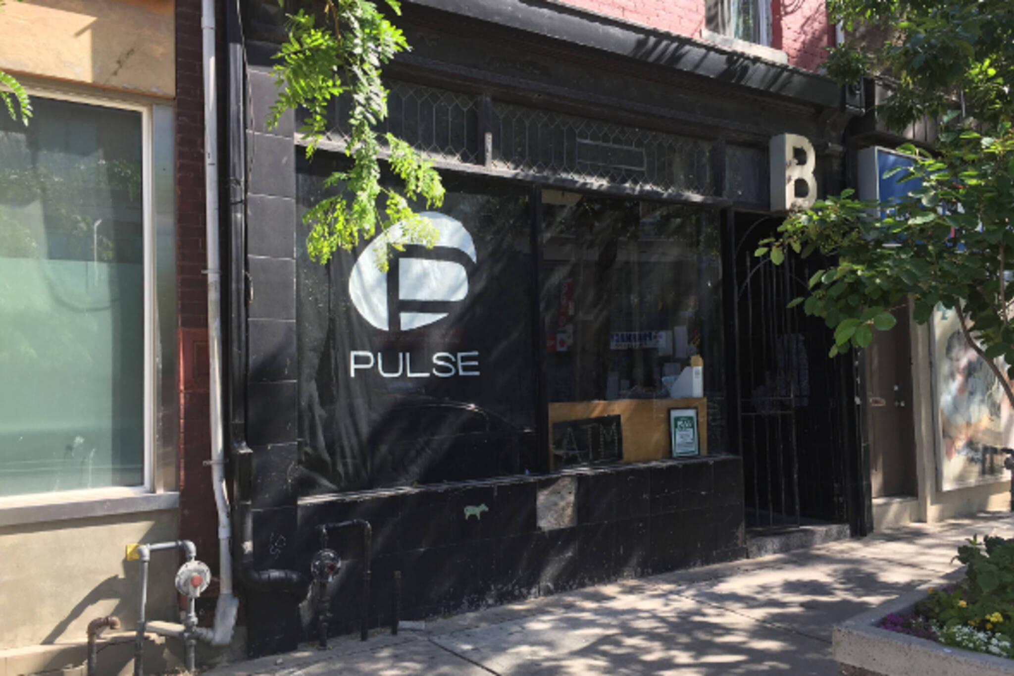 Toronto pulse nightclub