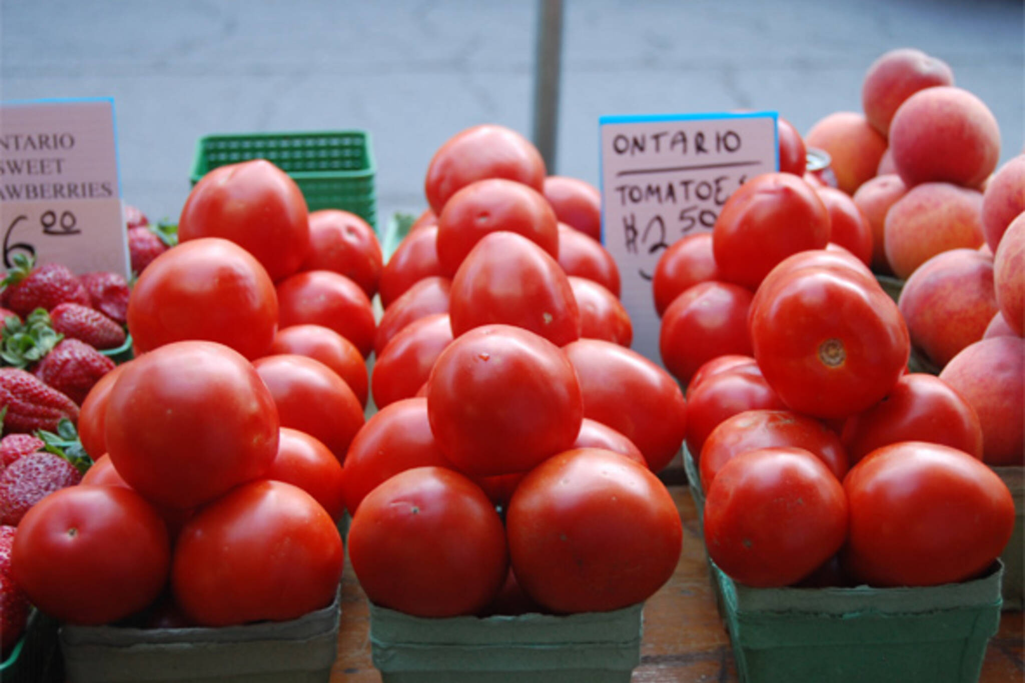ontario field tomatoes