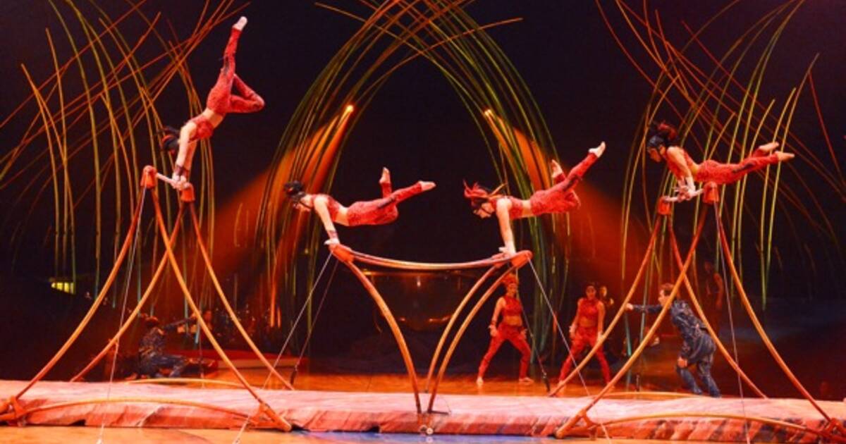 Amaluna shines as Cirque du Soleil's latest masterpiece