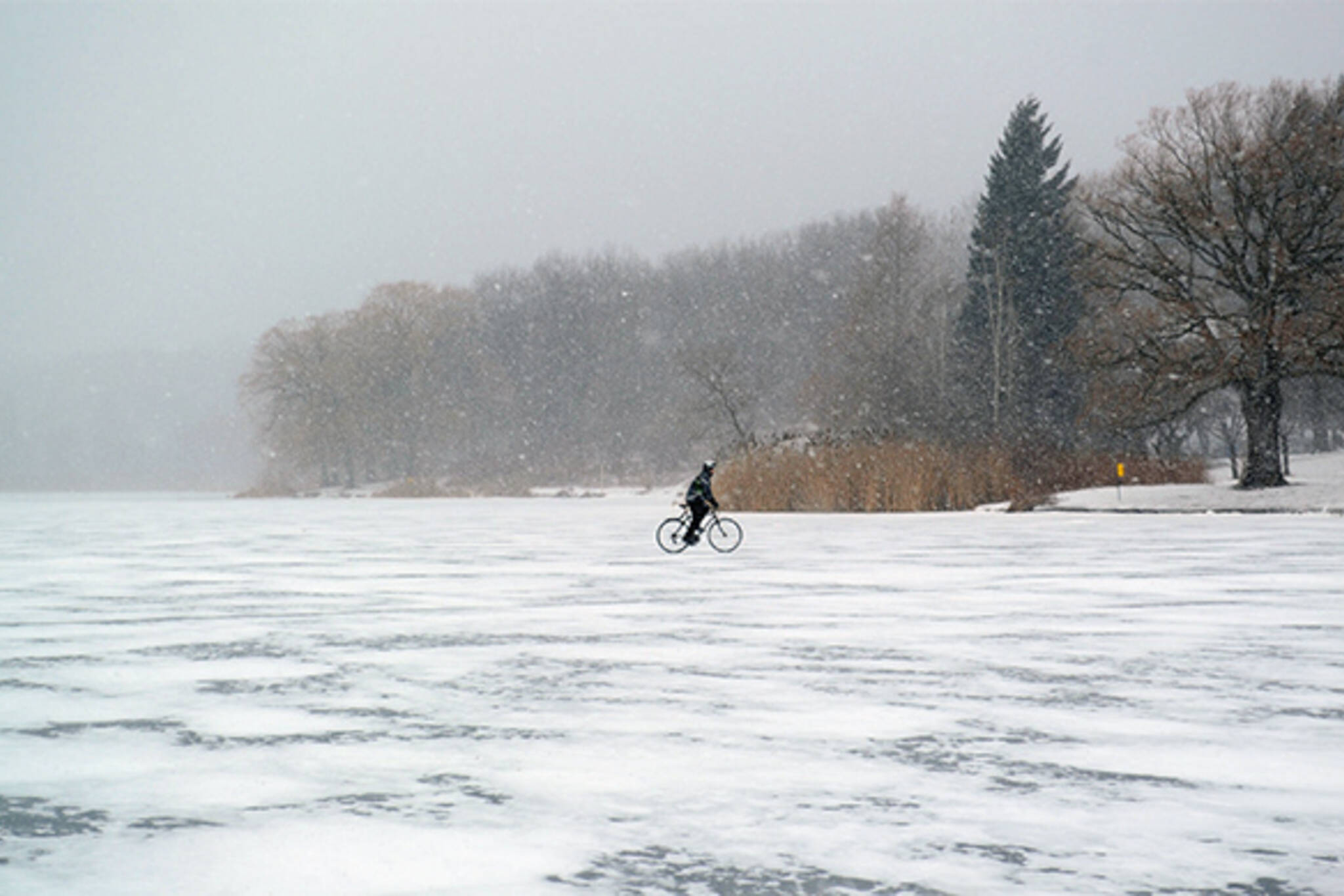 pond cyclist winter