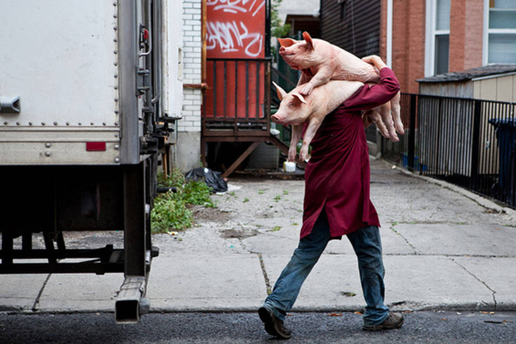 pork, chinatown, pigs