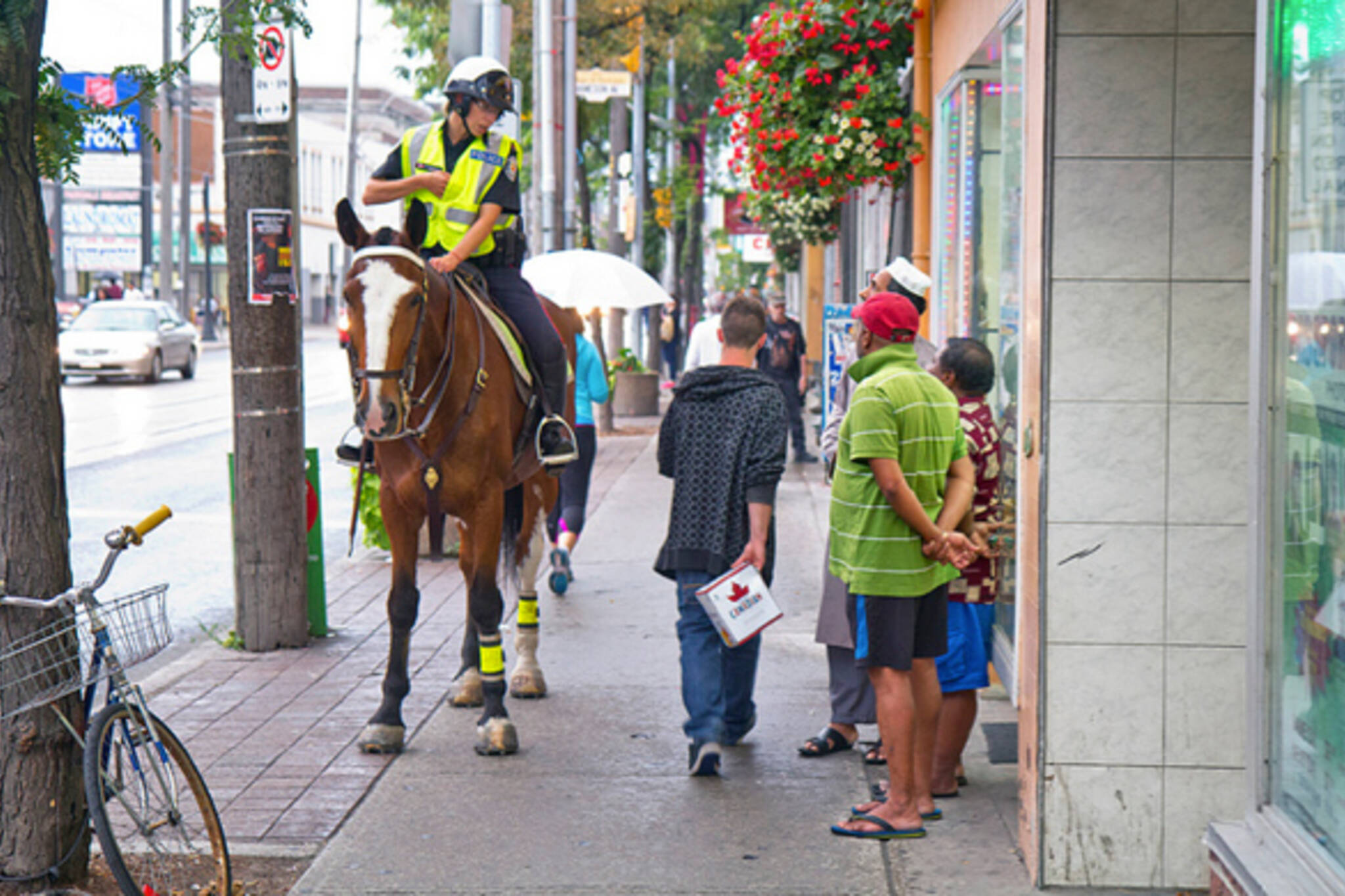 Mounted Police Toronto