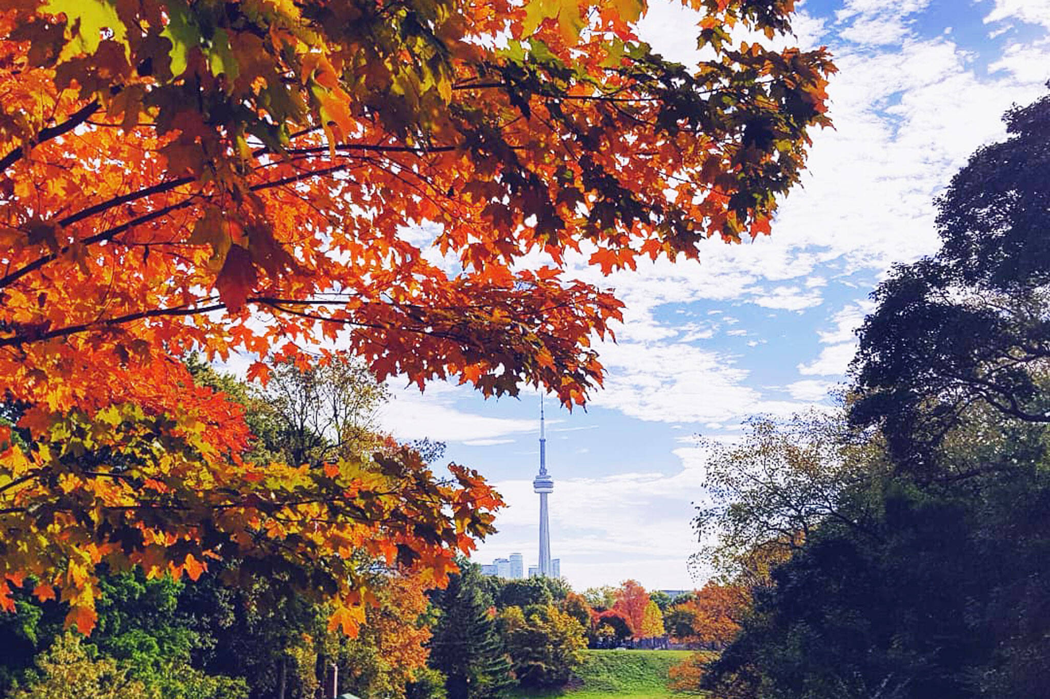 fall color tours from toronto