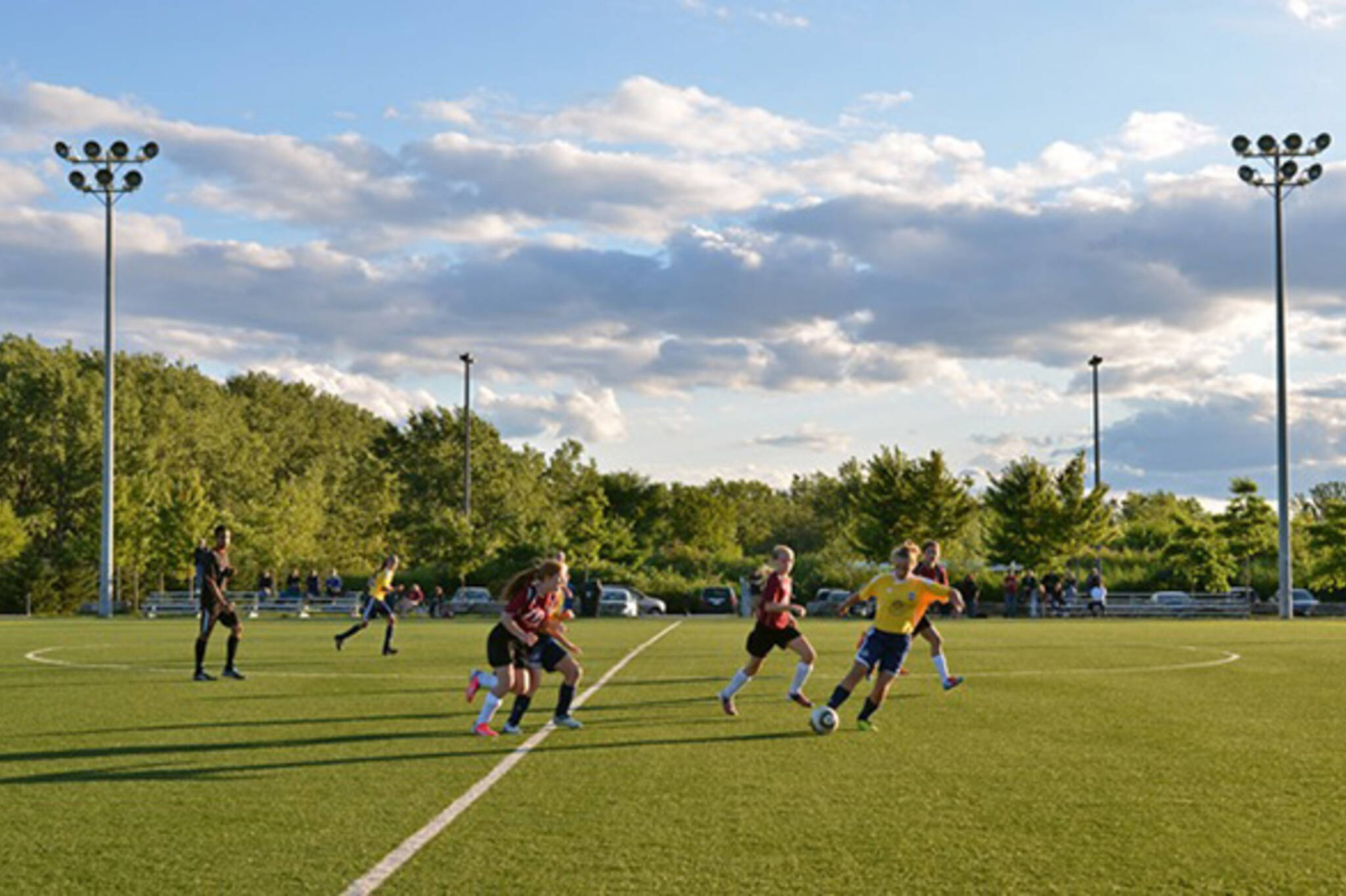The Best Outdoor Sports Fields in Toronto