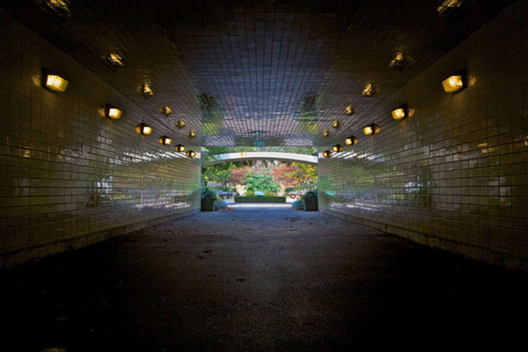tunnel, bridal, path