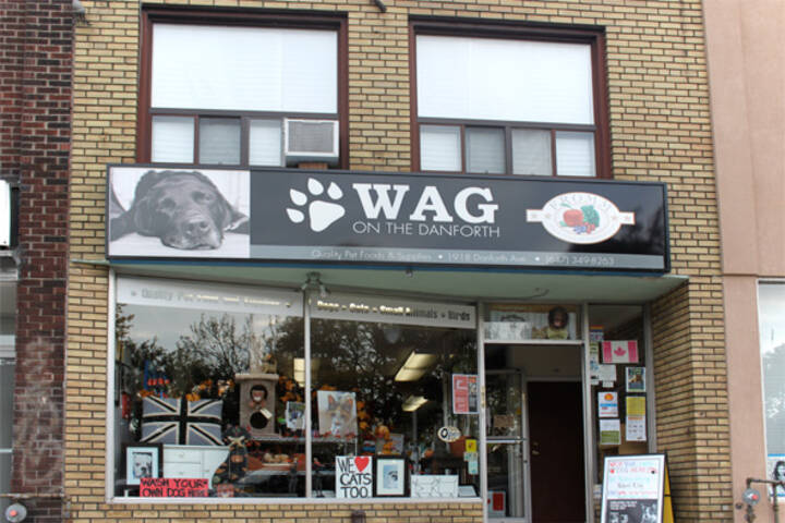 Wag on the Danforth