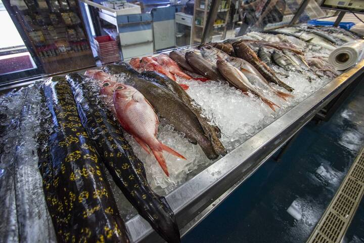 Newport Fish Importers on Alliance