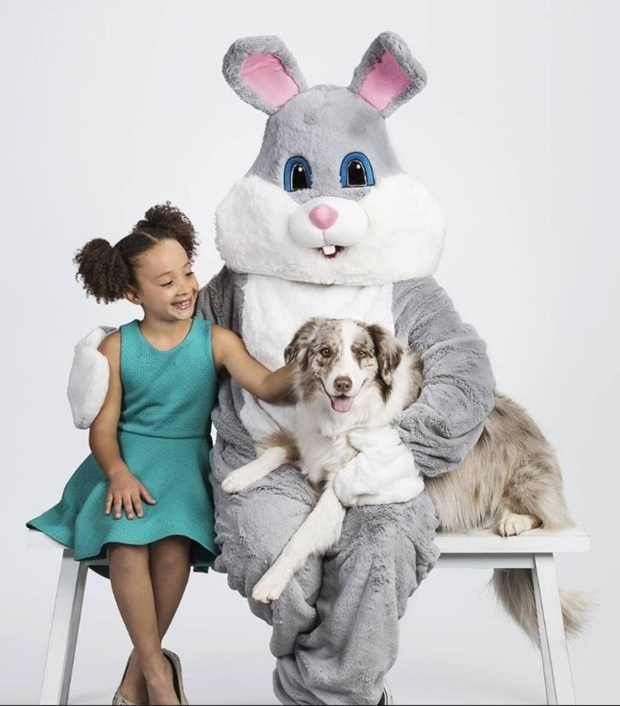 Easter Bunny Photos at PetSmart!