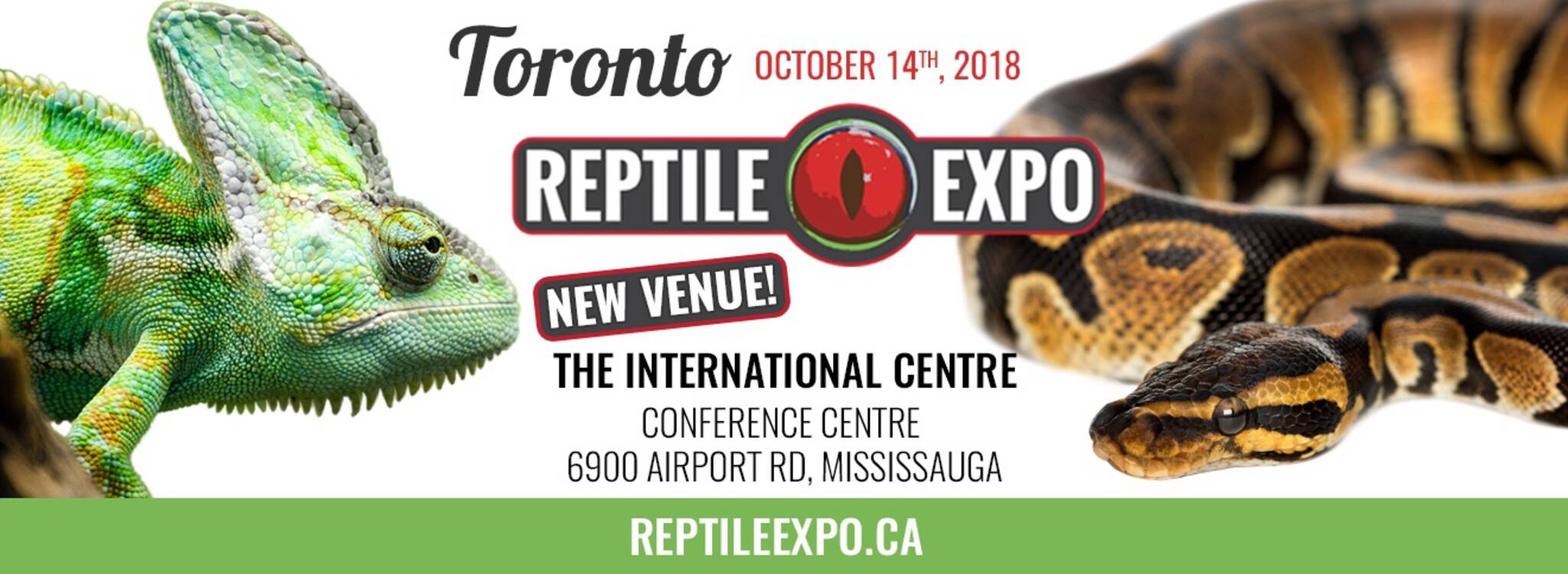 Toronto Reptile Expo