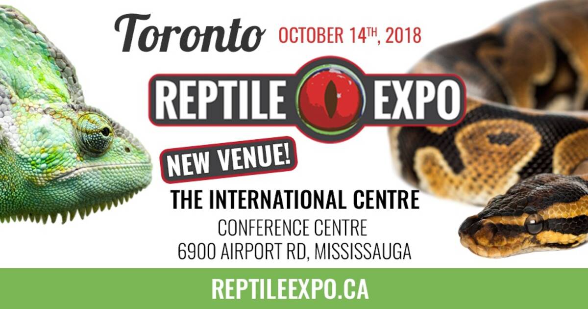 Toronto Reptile Expo 2024 Dates Emyle Jackqueline
