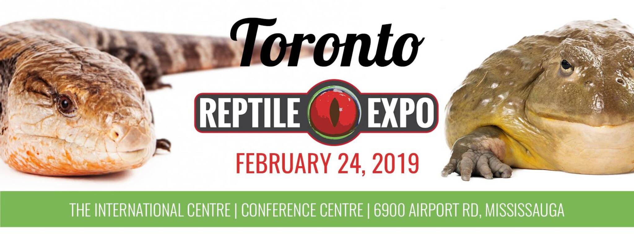 Toronto Reptile Expo Feb 24th