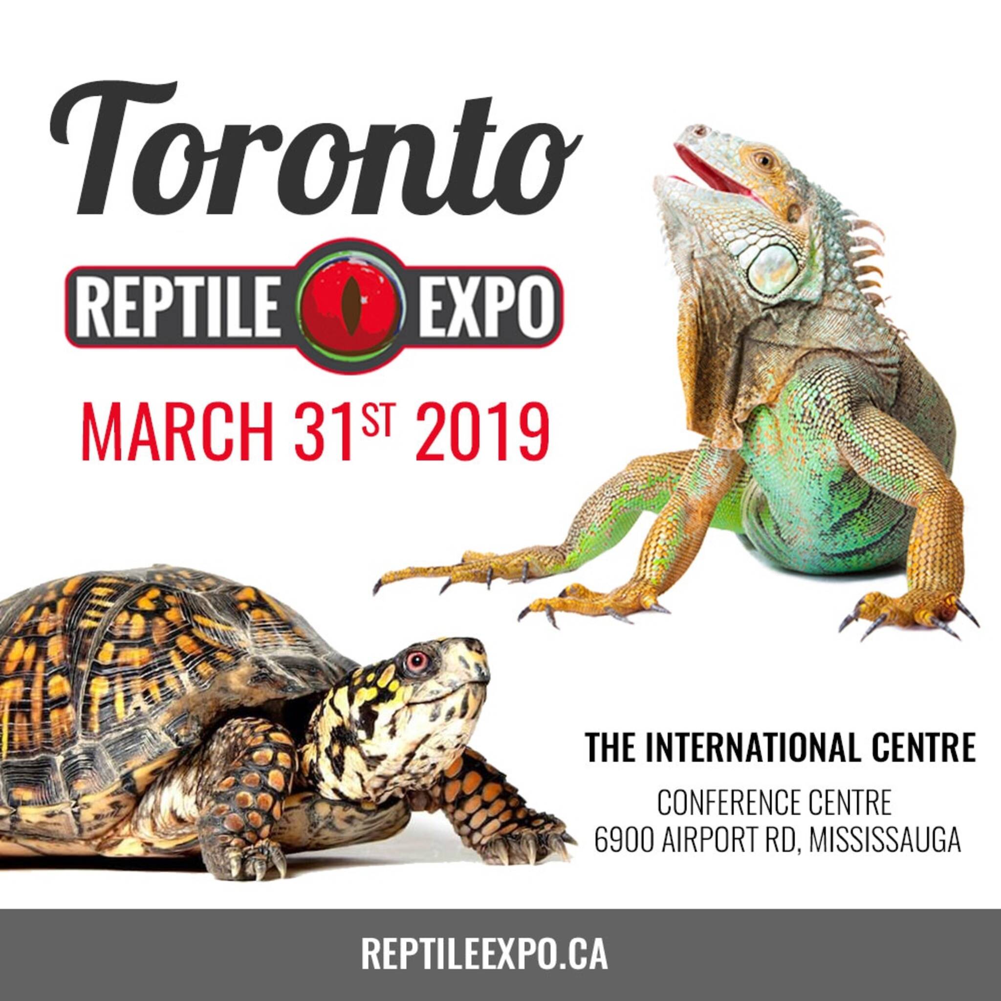 Toronto Reptile Expo March 31st