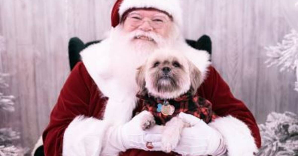 Photos with Santa at PetSmart!