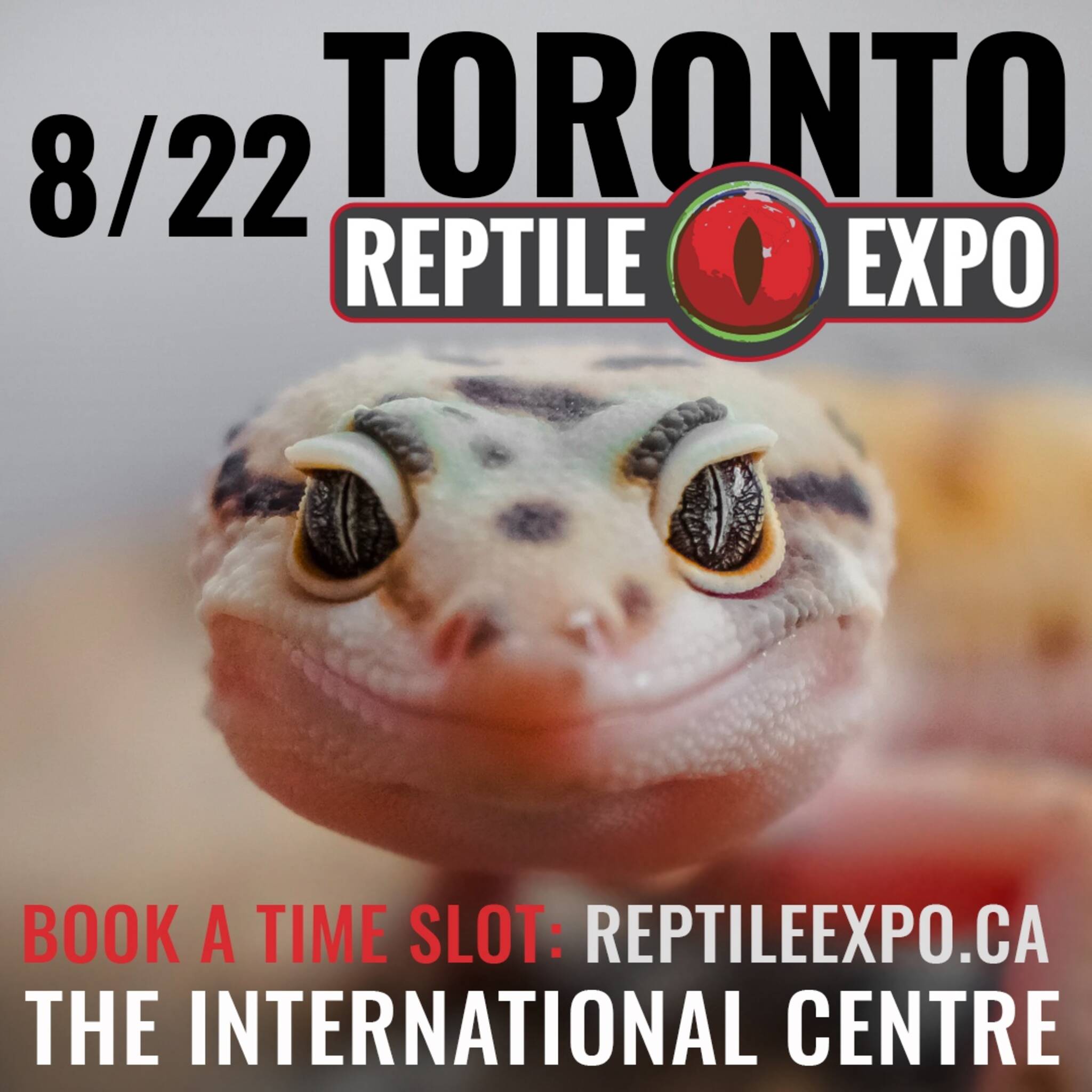 Toronto Reptile Expo August 22