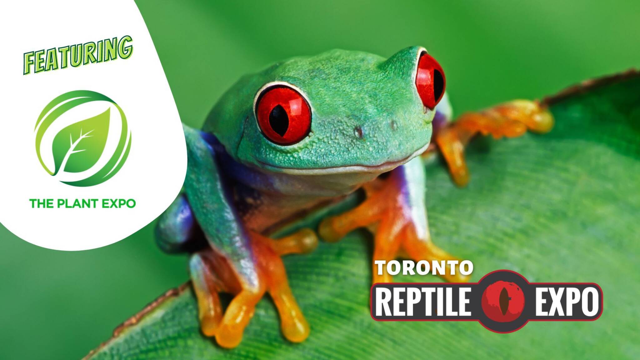 Toronto Reptile Expo