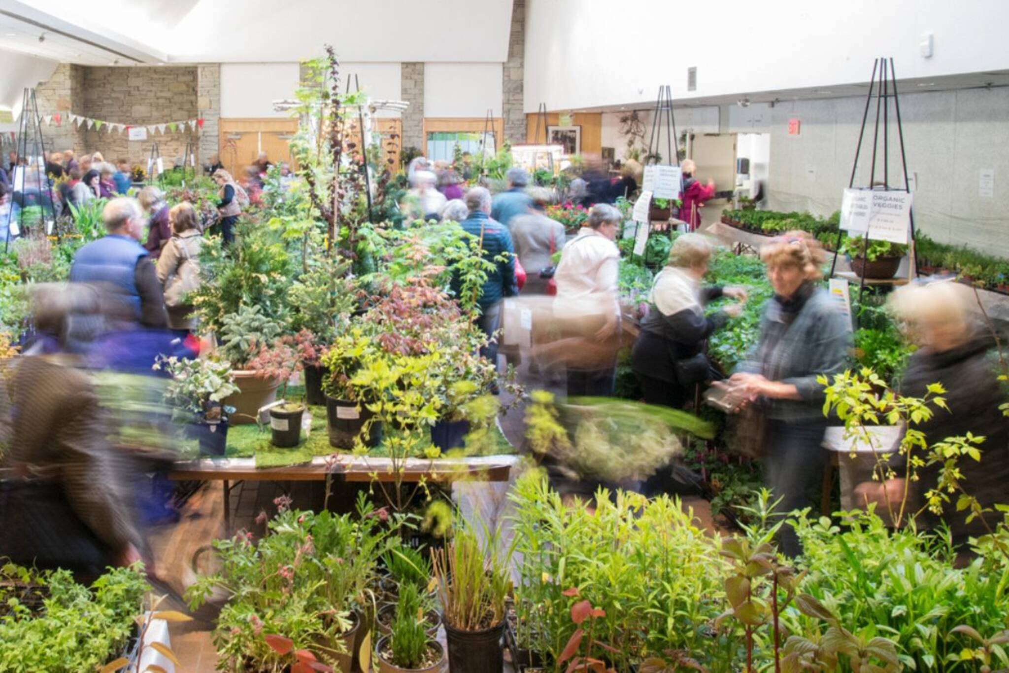 Toronto Botanical Garden Spring Plant Sale 2024