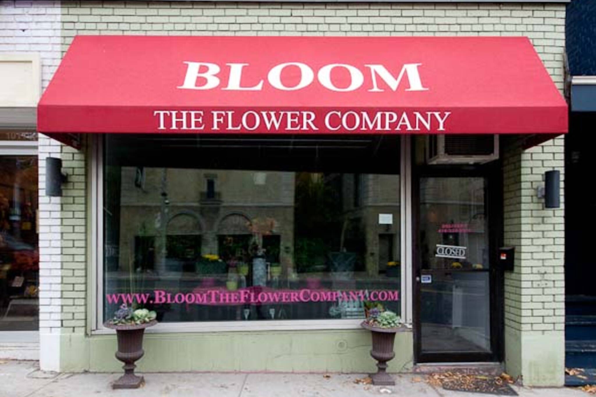 Bloom Toronto