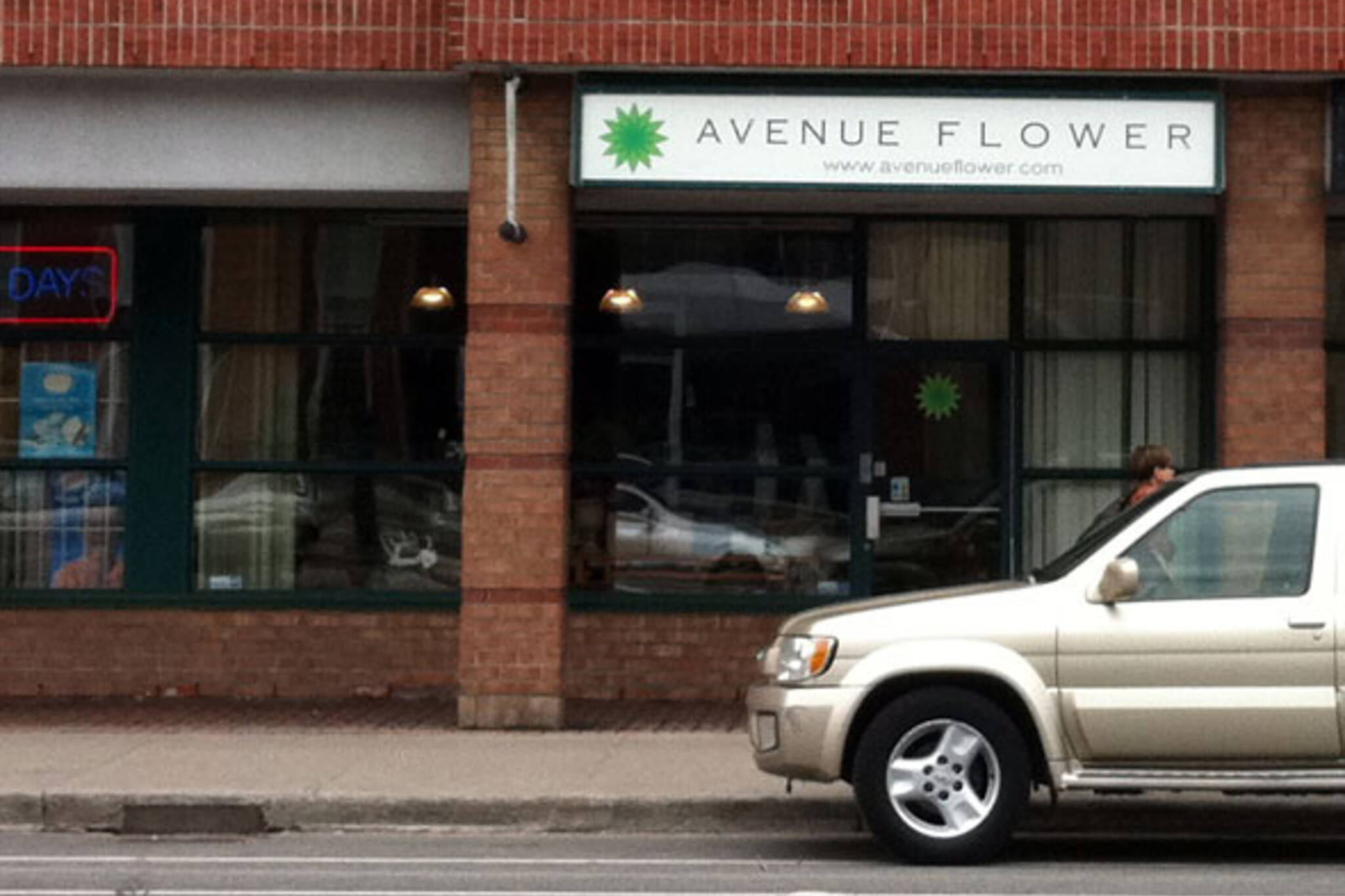Avenue Flower Toronto
