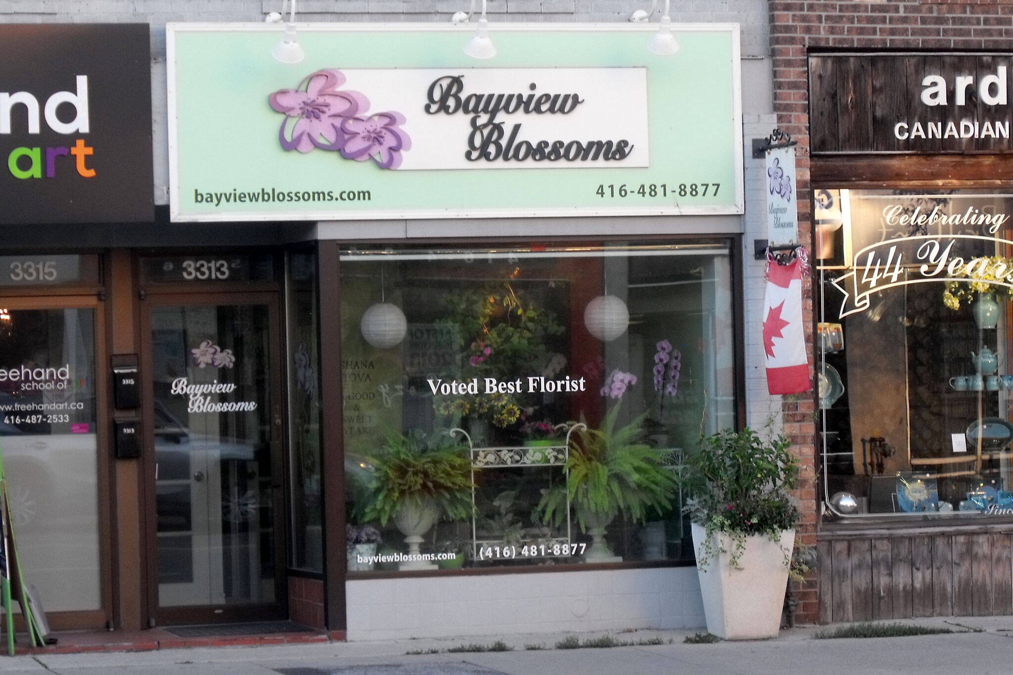 Bayview Blossoms Toronto