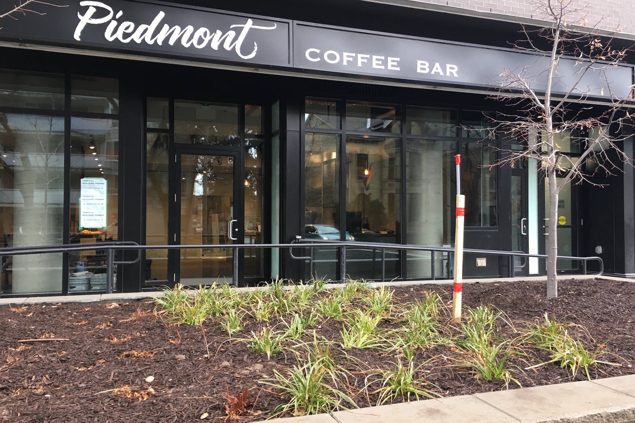 Piedmont Coffee Toronto