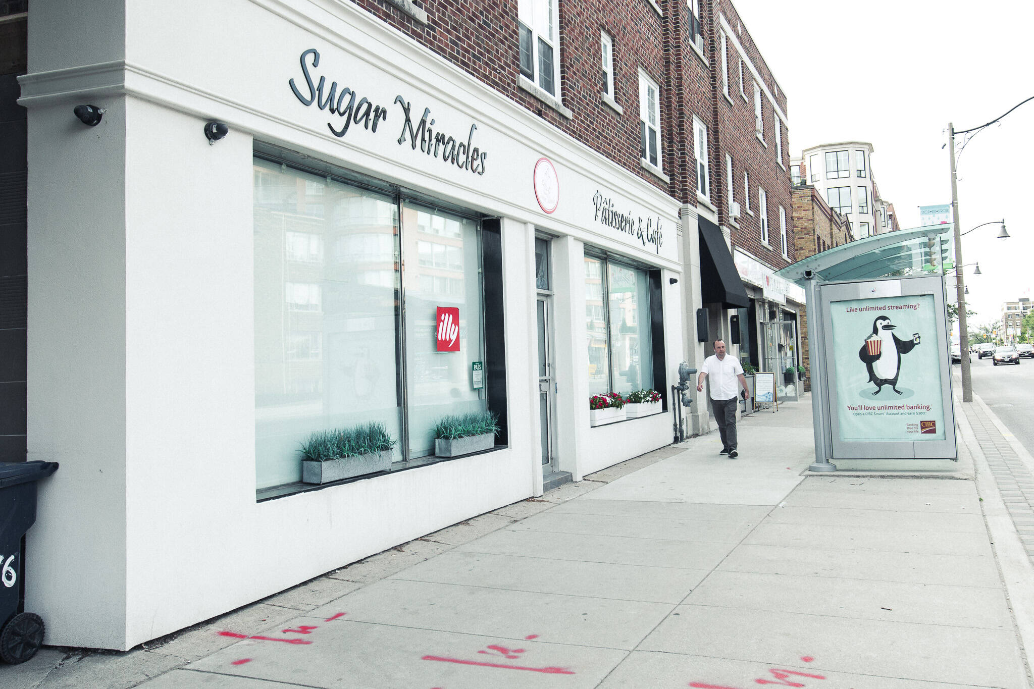 Sugar Miracles Toronto